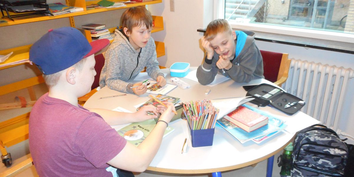 images/stories/CRR_right%20to%20education%20in%20denmark-2-%20danish%20primary%20school.jpg#joomlaImage://local-images/stories/CRR_right to education in denmark-2- danish primary school.jpg?width=2000&height=1500